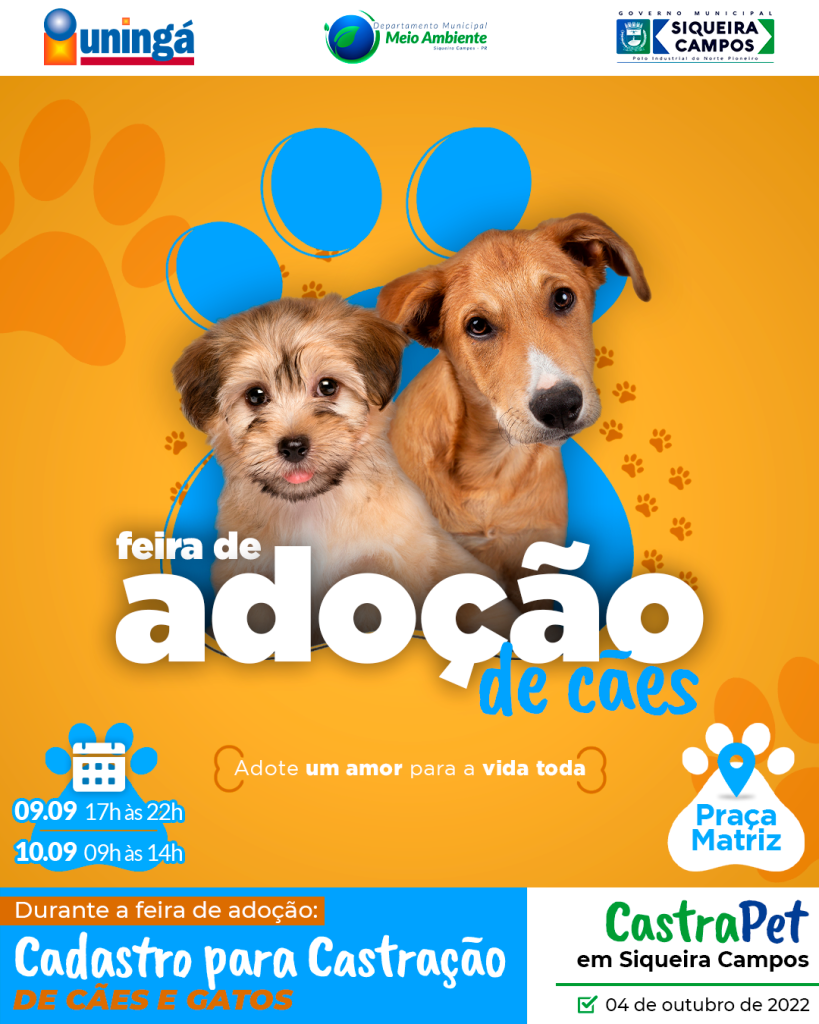 Notícia Nova Feira de Adoção de Cães e castração gratuita para cães e